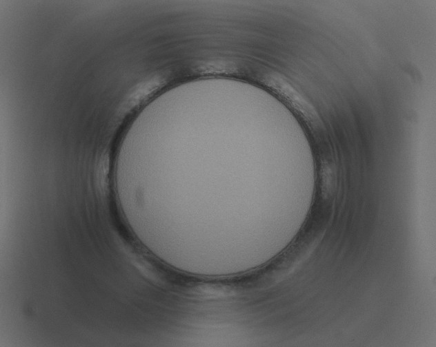 X0000116480490200912292049