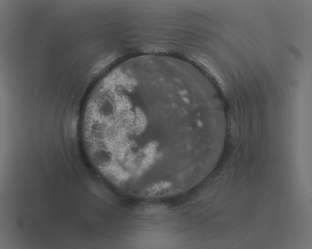 X0000116480491200912292049