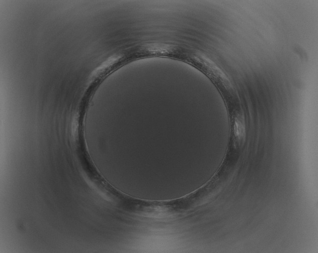 X0000116480492200912292049