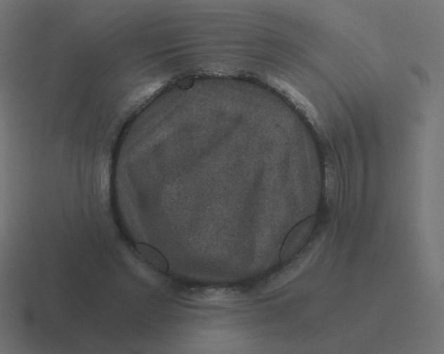 X0000116480493200912292049