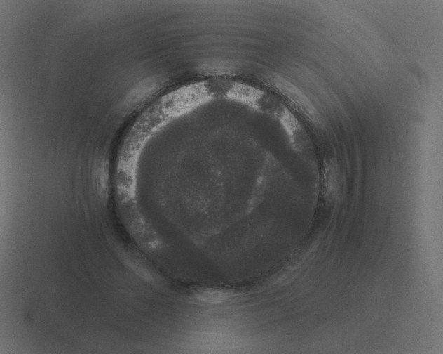 X0000116480494200912292049