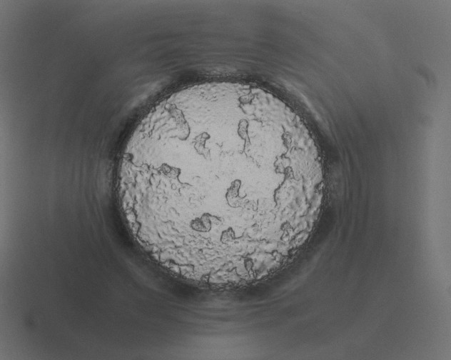 X0000116480495200912292049