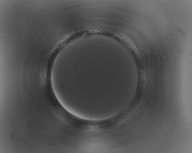 X0000116480496200912292049