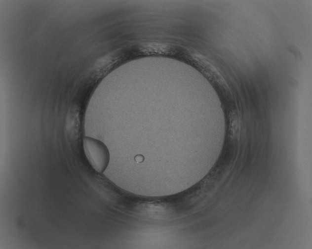 X0000116480498200912292049