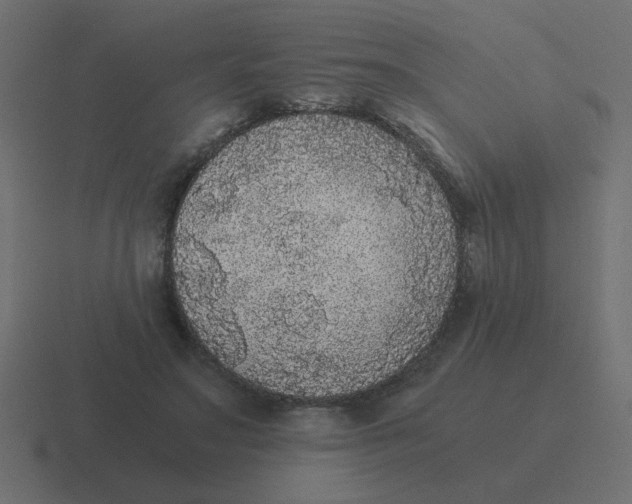 X0000116480499200912292049