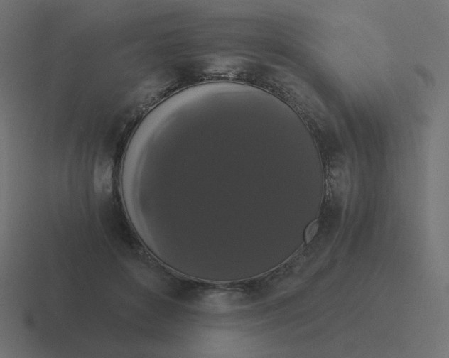 X0000116480504200912292049