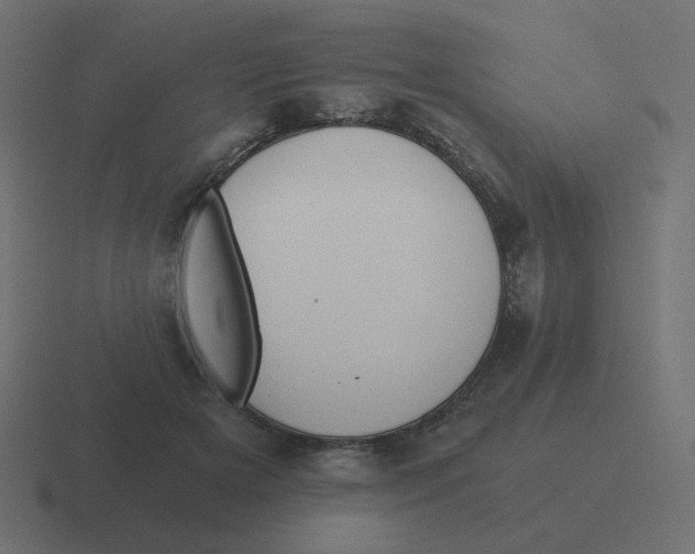 X0000116480505200912292049