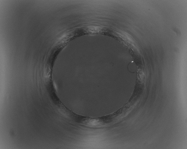 X0000116480507200912292049