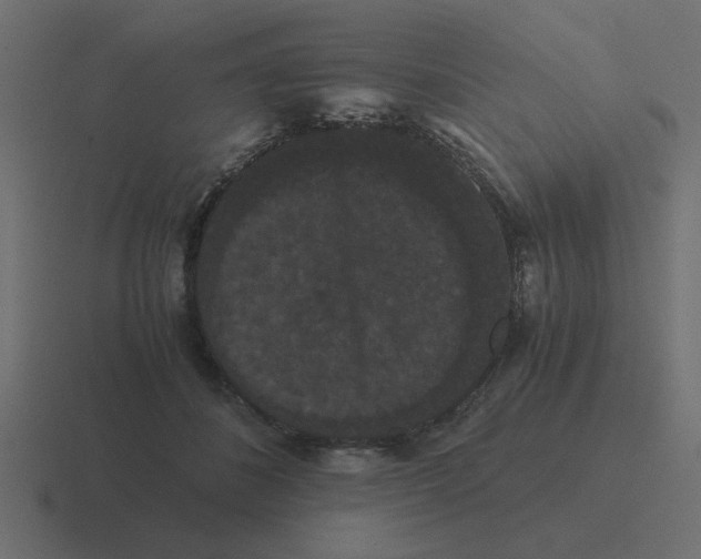 X0000116480508200912292049