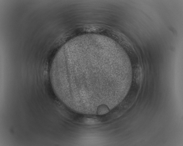 X0000116480510200912292048