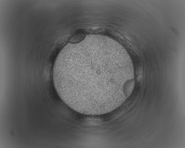 X0000116480515200912292048