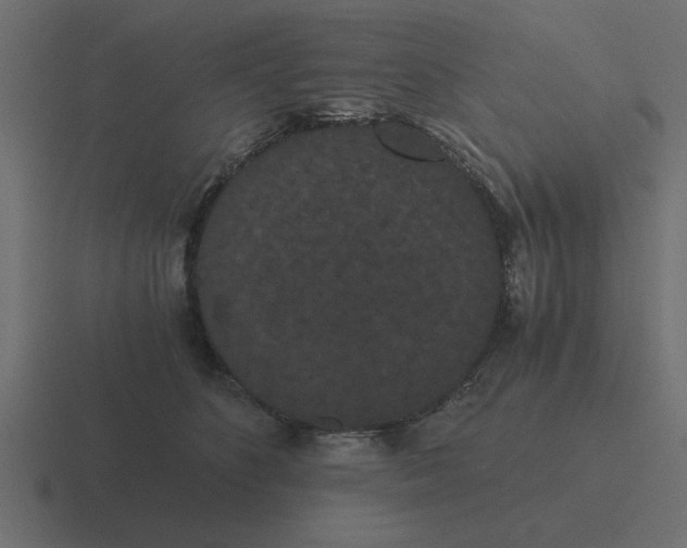 X0000116480516200912292048