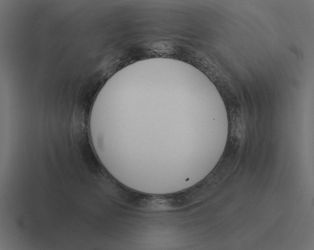 X0000116480518200912292048