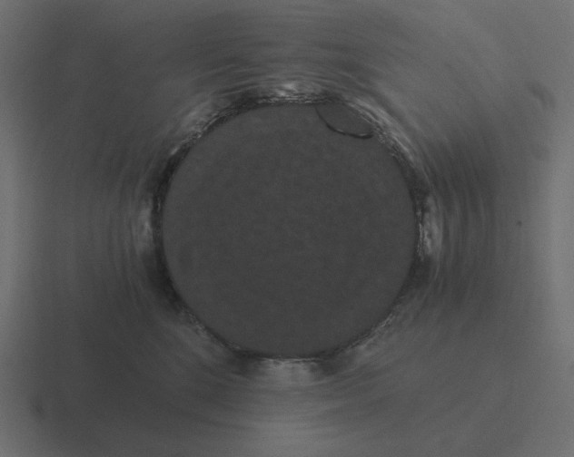 X0000116480520200912292048