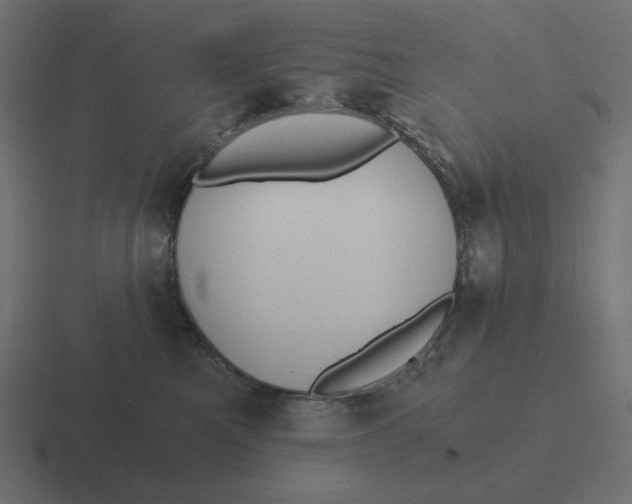 X0000116480521200912292048