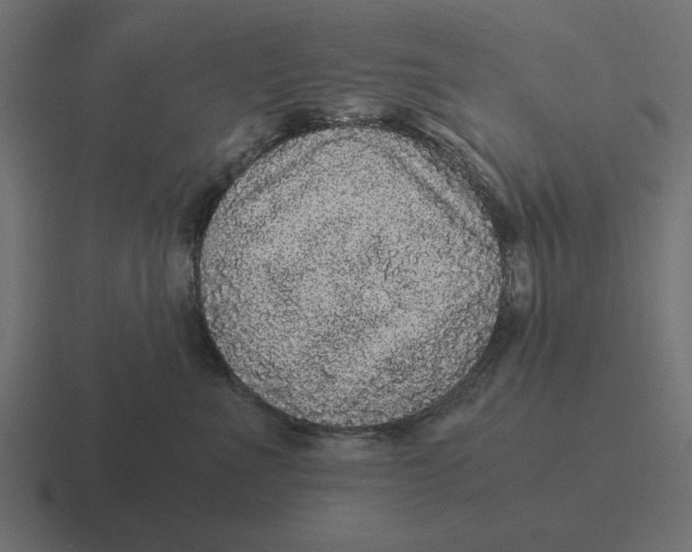 X0000116480523200912292048