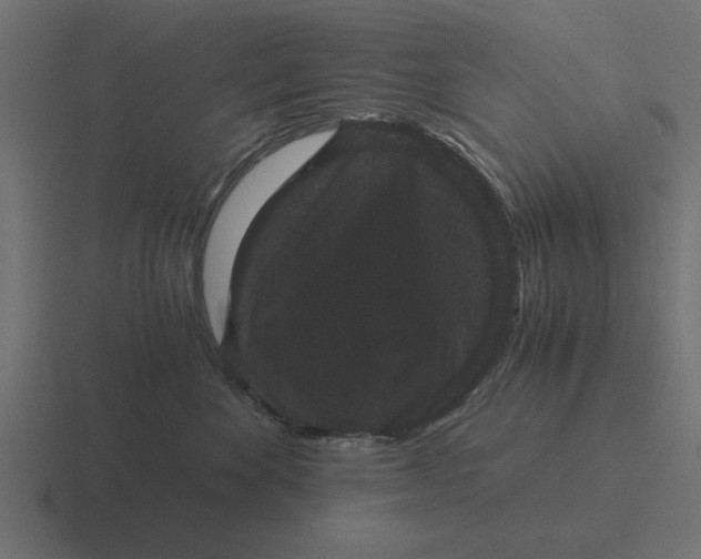 X0000116480524200912292048