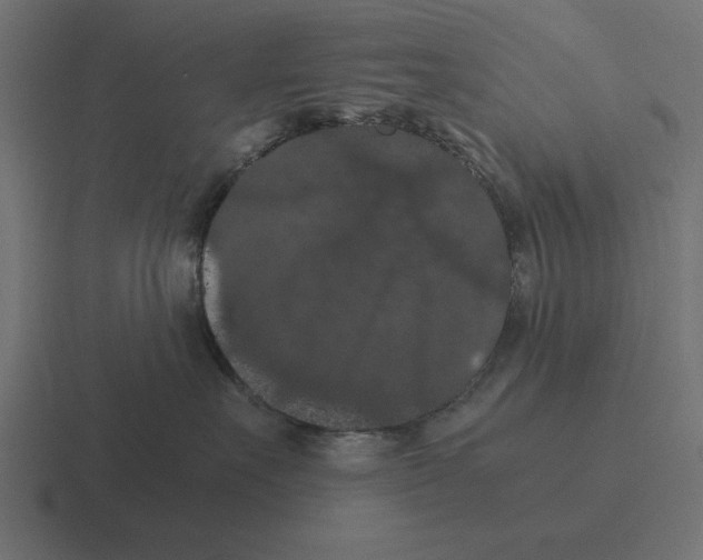 X0000116480527200912292048