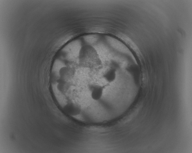 X0000116480529200912292048