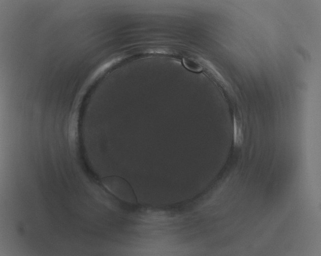 X0000116480531200912292048