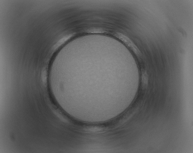 X0000116480533200912292048