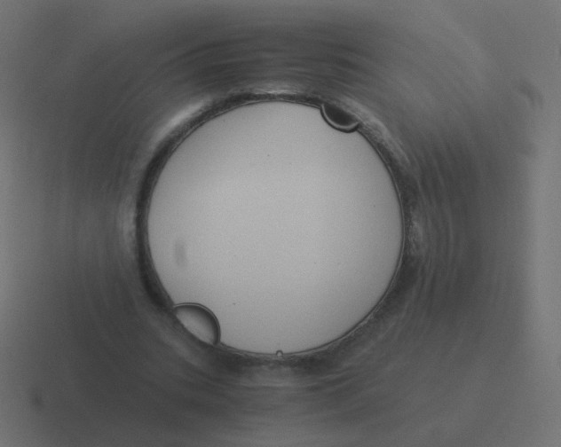 X0000116480535200912292048