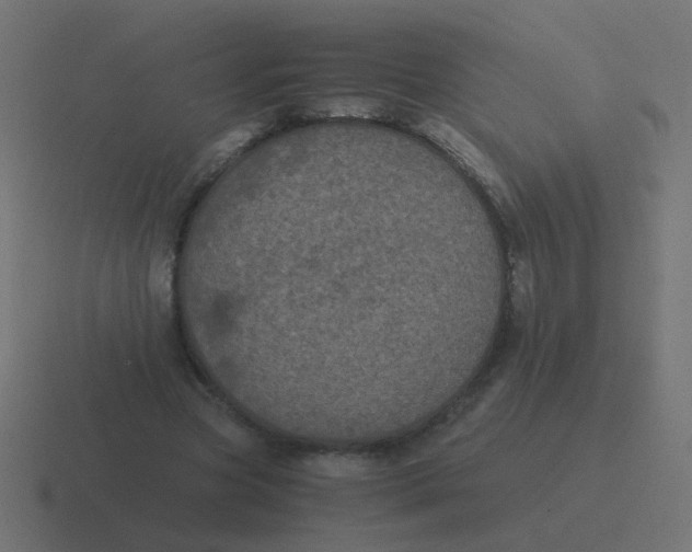 X0000116480537200912292048