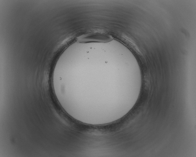 X0000116480538200912292048