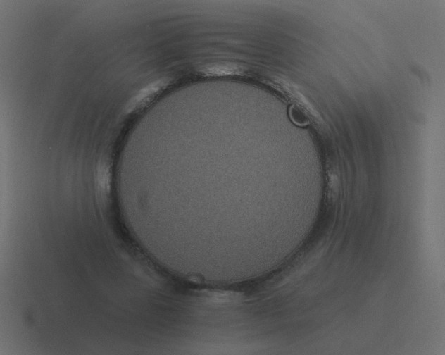 X0000116480539200912292048