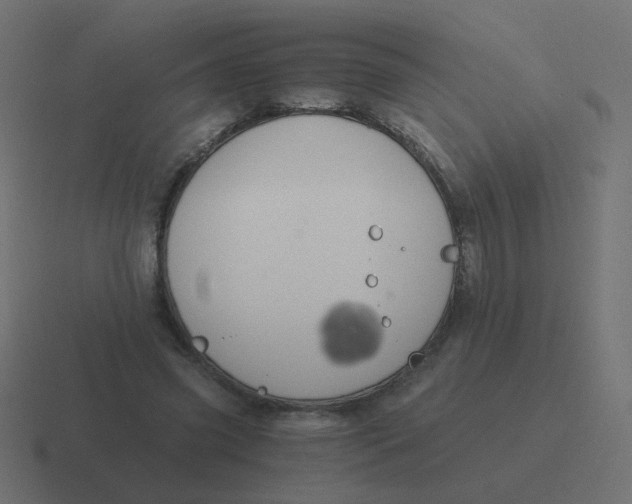 X0000116480541200912292048