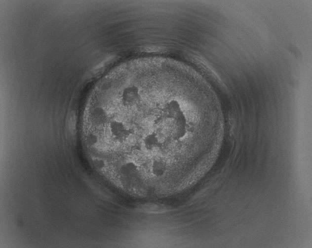 X0000116480542200912292048