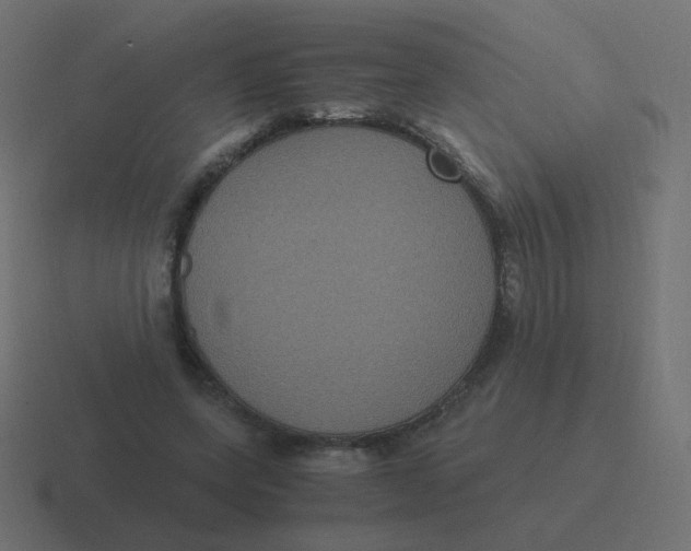 X0000116480543200912292048