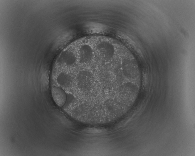 X0000116480545200912292048