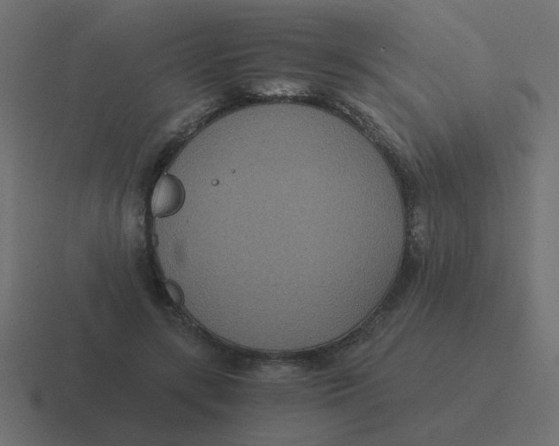 X0000116480547200912292048