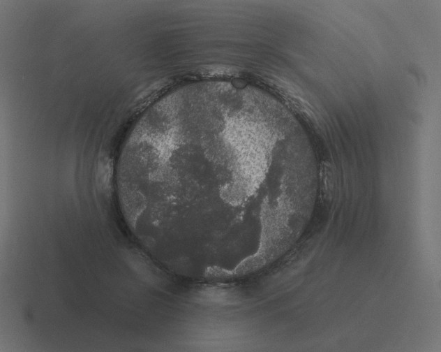 X0000116480550200912292048