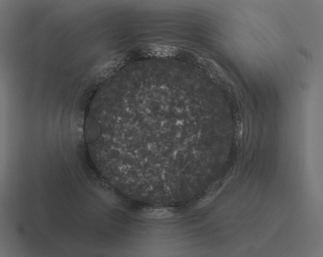 X0000116480553200912292048