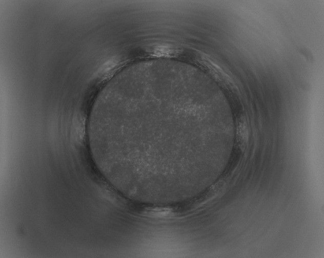 X0000116480554200912292048