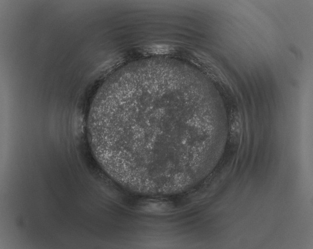 X0000116480555200912292048