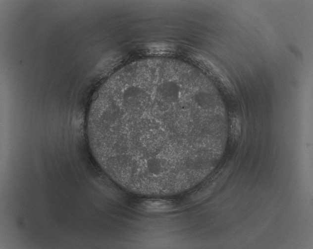 X0000116480557200912292048