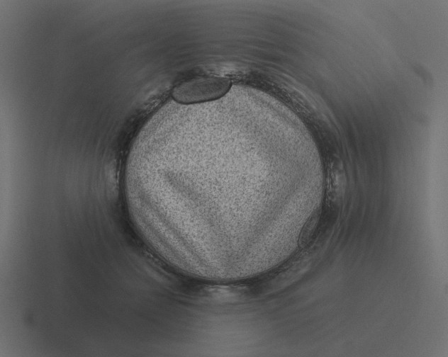 X0000116480558200912292048