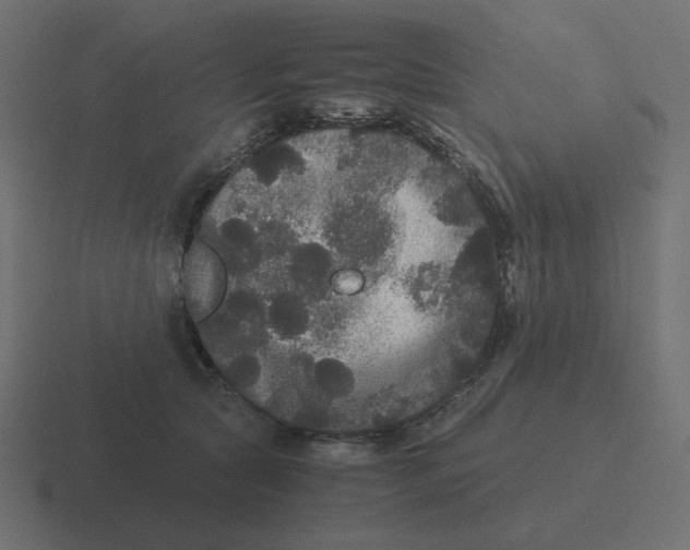 X0000116480561200912292048