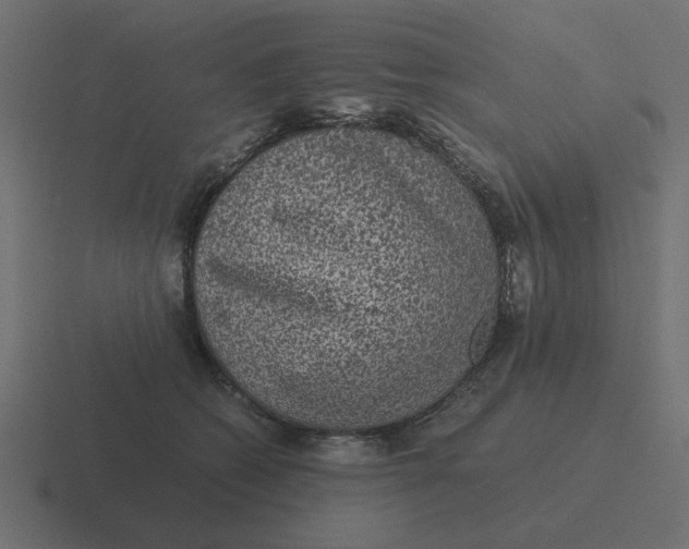 X0000116480562200912292048