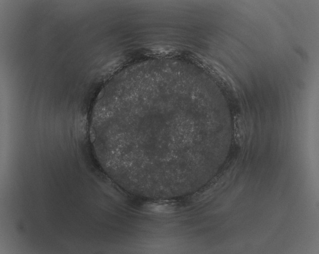 X0000116480563200912292048