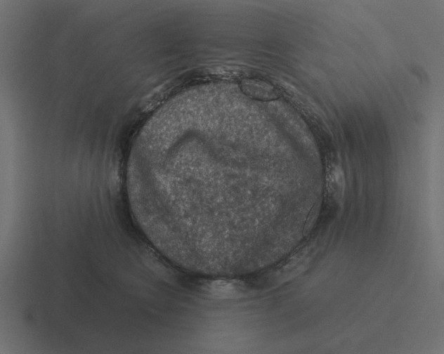 X0000116480566200912292048