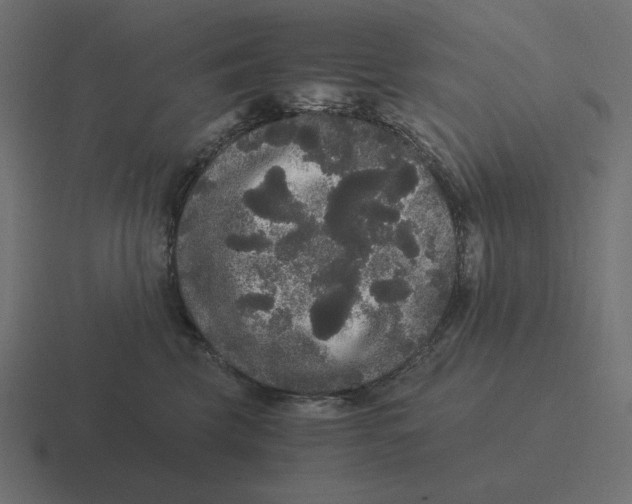 X0000116480569200912292048