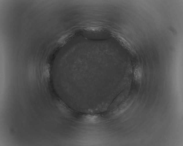 X0000116480570200912292048