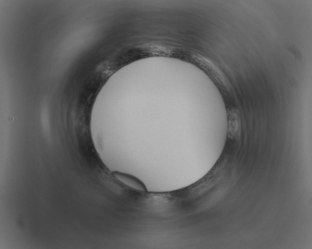 X0000116480573200912292048