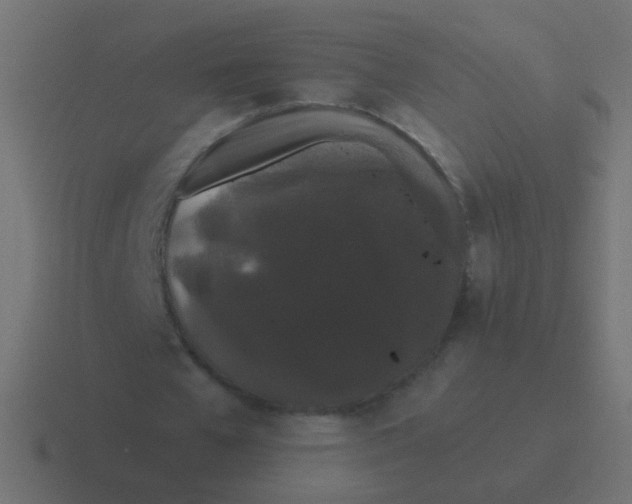 X0000116480577200912292048