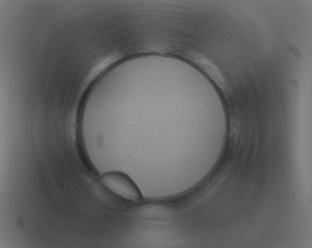 X0000116480578200912292048