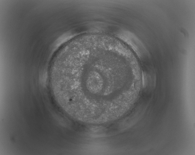 X0000116480579200912292048